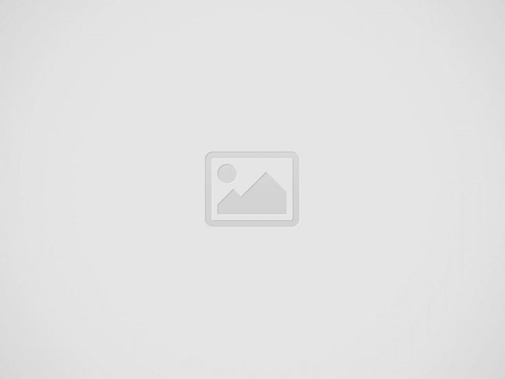 Awards Website Company