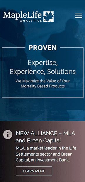 Financial Services Website Design iphone