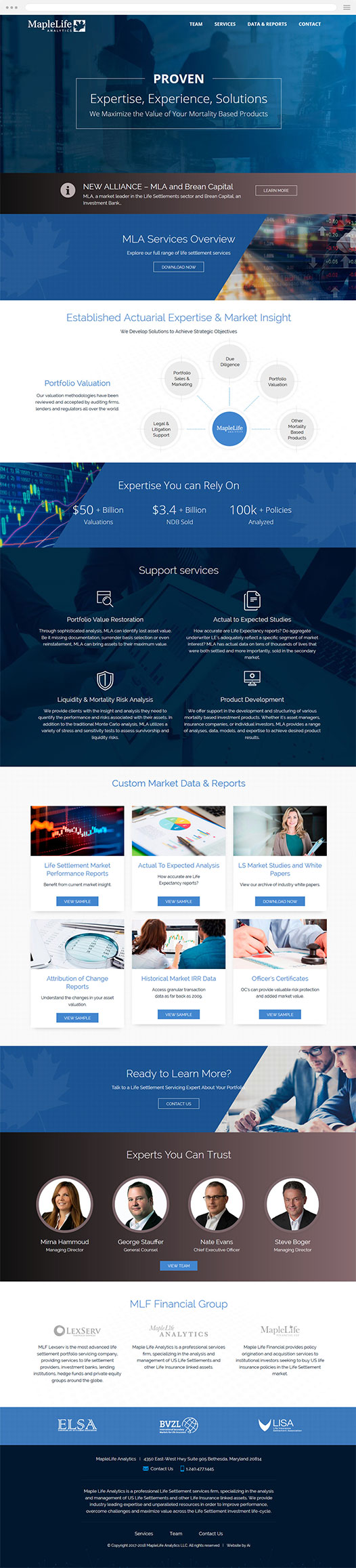 Financial Services Website Design old