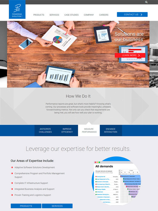 Government IT Website Design ipad