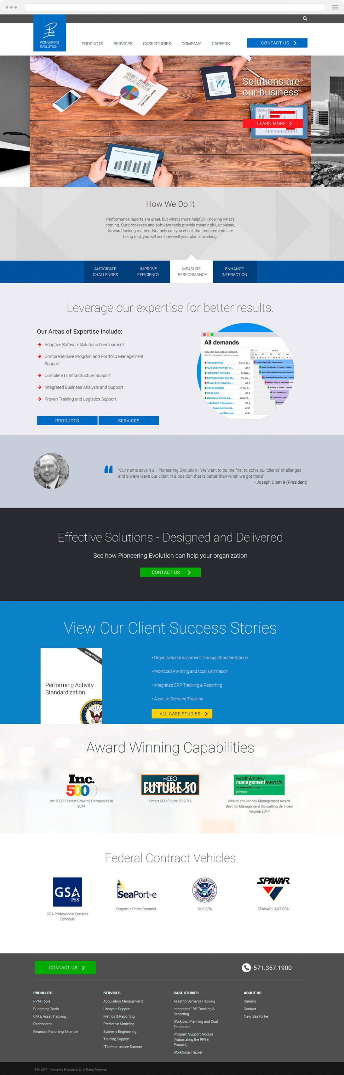 Government IT Website Design old