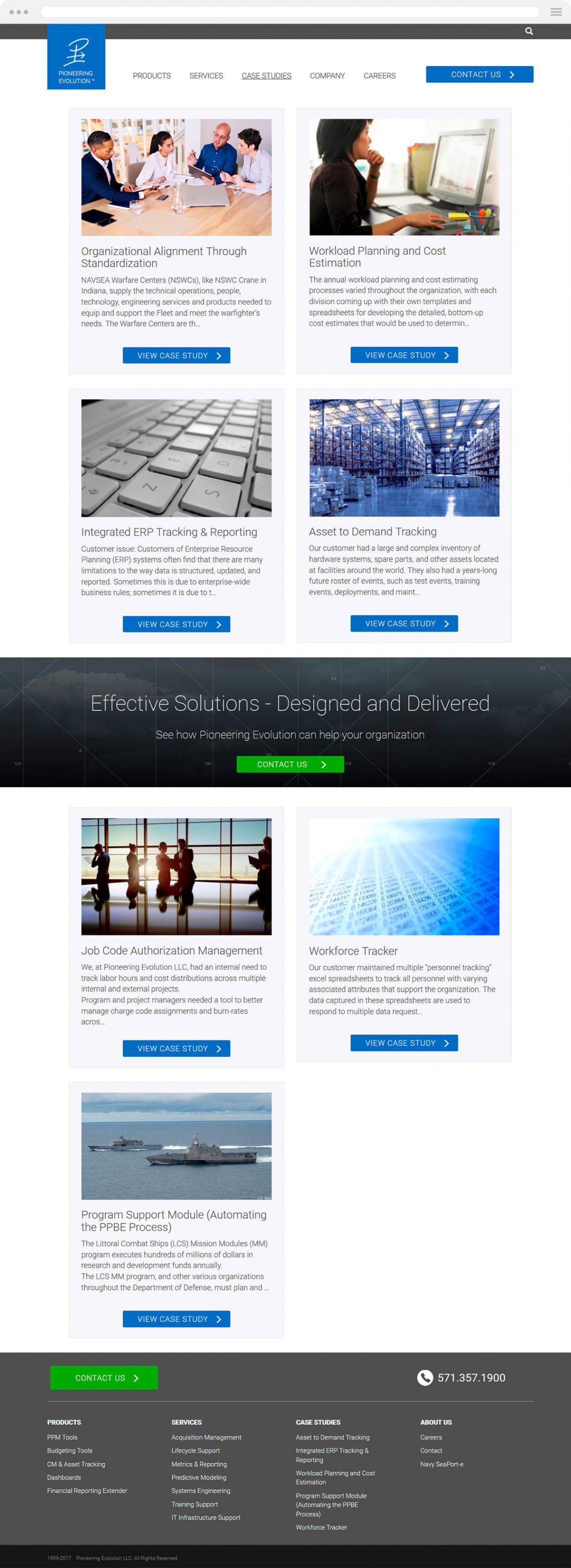 Government IT Website Design new