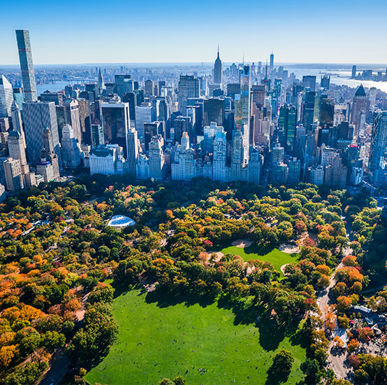 web design company in new york city