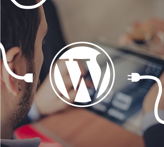 WordPress Plugins