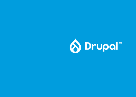 What is a Drupal developer? Skills for the perfect hire
