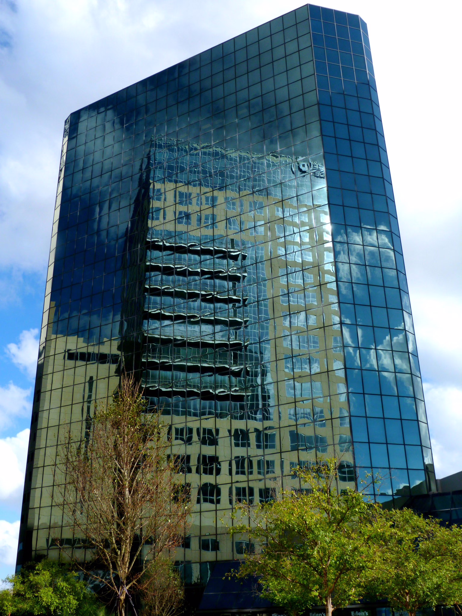 Why choose Alliance Interactive for Orlando digital marketing services?