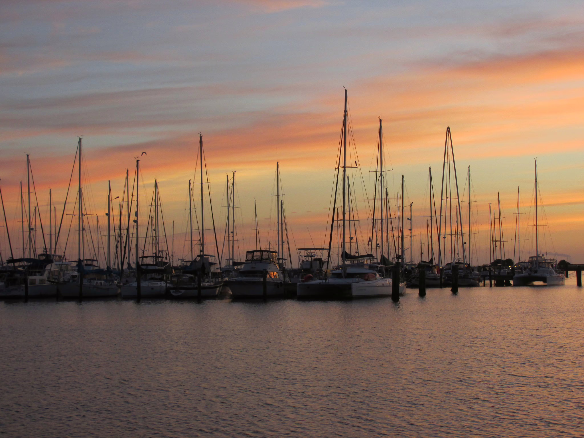 Why choose Alliance Interactive for Tampa digital marketing services?